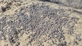 2023-GC--Mapalomas dunas-S123-279.jpg